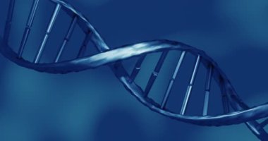 Mavi 3D DNA iplikçiklerinin dönüşünün animasyonu. Bilim ve araştırma konsepti dijital olarak üretilen video konsepti.
