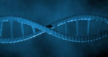 Mavi 3D DNA iplikçiklerinin dönüşünün animasyonu. Bilim ve araştırma konsepti dijital olarak üretilen video konsepti.
