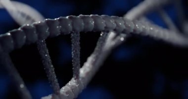 Gri 3D DNA iplikçiklerinin dönüşünün animasyonu. Bilim ve araştırma konsepti dijital olarak üretilen video konsepti.