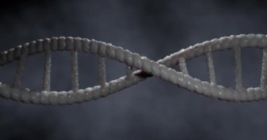 Gri 3D DNA iplikçiklerinin dönüşünün animasyonu. Bilim ve araştırma konsepti dijital olarak üretilen video konsepti.
