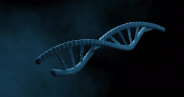 Mavi 3D DNA iplikçiklerinin dönüşünün animasyonu. Bilim ve araştırma konsepti dijital olarak üretilen video konsepti.