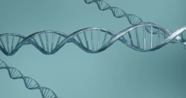 Mavi 3D DNA iplikçiklerinin dönüşünün animasyonu. Bilim ve araştırma konsepti dijital olarak üretilen video konsepti.