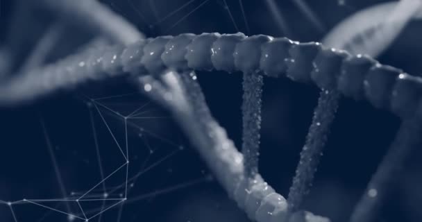 Animation Macro Grey Dna Strand Spinning Science Research Concept Digitally — Stock Video