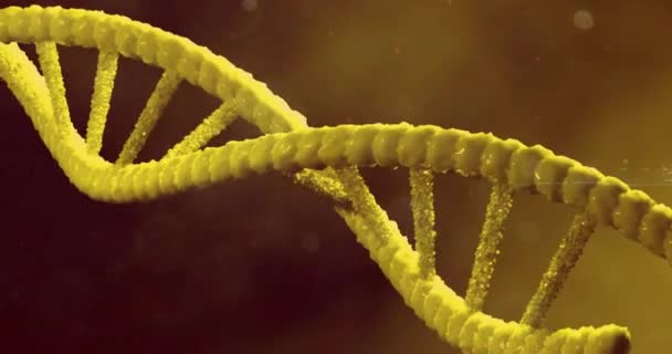 Animazione Macro Filatura Gialla Dna Filatura Concetto Scienza Ricerca Concetto — Video Stock