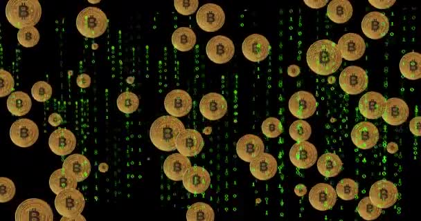 Animation Von Bitcoin Symbolen Auf Schwarzem Hintergrund Mit Grünen Buchstaben — Stockvideo