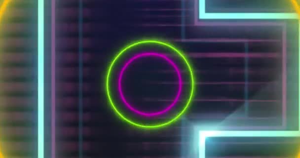 Animation Neon Circles Nft Black Background Digital Resources Technology Concept — Stock Video