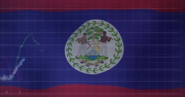 Belize bayrağı üzerinde veri işleme animasyonu. küresel iş, finans, bağlantılar ve dijital arayüz konsepti dijital olarak oluşturulmuş video.