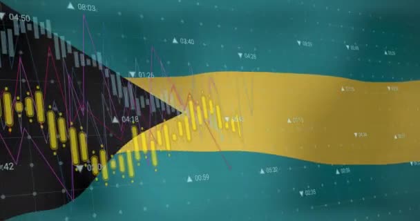 Animazione Del Trattamento Dei Dati Bandiera Delle Bahamas Business Globale — Video Stock