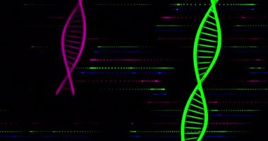 Siyah arka planda DNA iplikçiklerinin canlandırılması. küresel bilim ve dijital arayüz kavramı dijital olarak oluşturulmuş video.