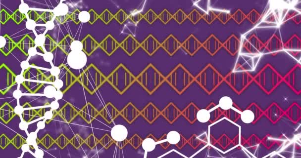 Dna Structure Spinning Chemical Structures Network Connections Purple Background Medical — Wideo stockowe