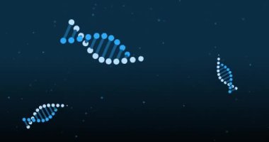 Mavi arka planda DNA iplikçiklerinin canlandırılması. küresel bilim ve dijital arayüz kavramı dijital olarak oluşturulmuş video.