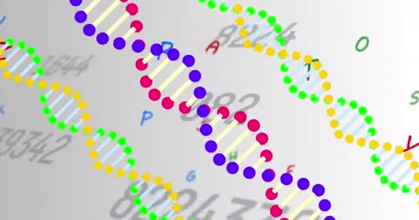 Colorful Dna Structures Spinning Multiple Changing Numbers Grey Background Medical — Vídeo de stock