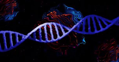 Siyah arka planda DNA iplikçiklerinin animasyonu. küresel bilim ve dijital arayüz kavramı dijital olarak oluşturulmuş video.