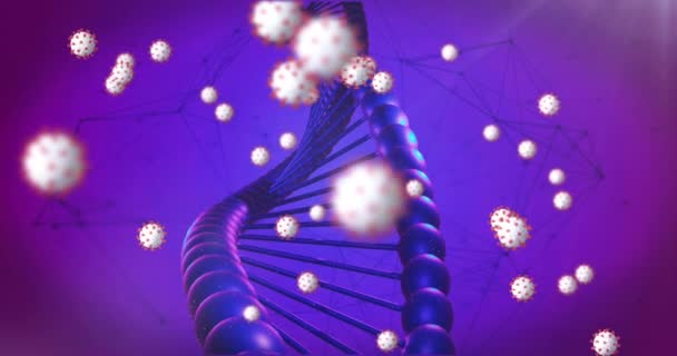 Covid Cells Floating Dna Structure Network Connections Purple Background Medical — Stock videók