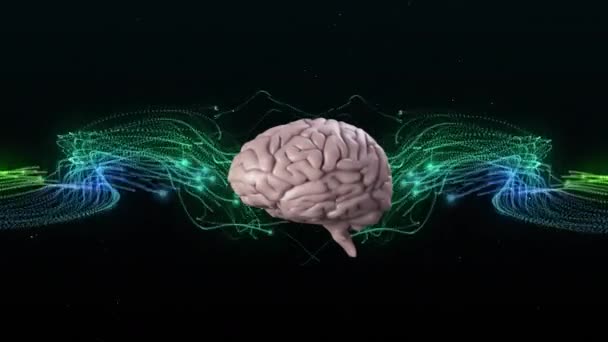 Human Brain Spinning Green Blue Digital Waves Black Background Medical — Wideo stockowe