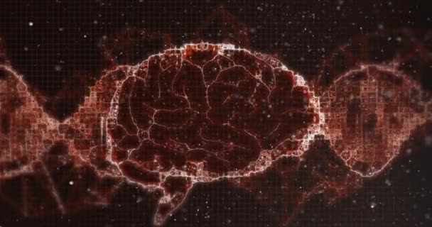 Human Brain Spinning Red Digital Waves Black Background Medical Research — Video Stock