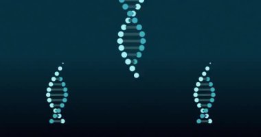 Siyah arka planda DNA iplikçiklerinin canlandırılması. küresel bilim ve dijital arayüz kavramı dijital olarak oluşturulmuş video.