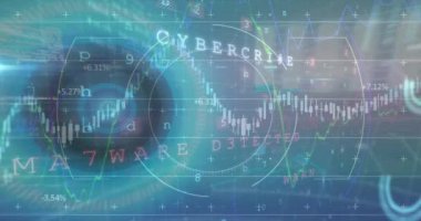 Dijital ekranda veri işleme ve grafiklerin animasyonu. veri güvenliği, internet güvenliği ve teknoloji konsepti dijital olarak oluşturulmuş video.