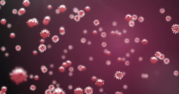 Animation Virus Cells Purple Background Animation Virus Cells Pandemic Total — стоковое видео