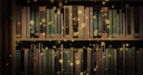 Animation Glowing Spots Books Shelf International Literacy Day Reading Concept — Stock videók