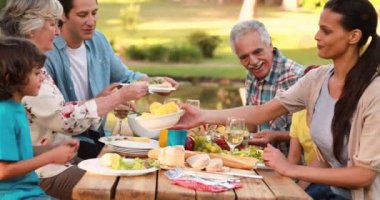 Kafkas ailesinin açık havada yemek yediği hafif noktaların animasyonu. Vatanseverlik ve kutlama konsepti dijital olarak oluşturulmuş video.