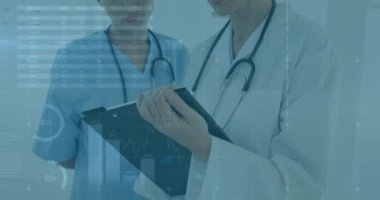 Çeşitli doktorlar üzerinde veri işleme animasyonu. küresel tıp, sağlık ve veri işleme kavramı dijital olarak oluşturulmuş video.