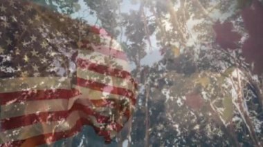 ABD bayrağı üzerinde ağaçların ve yaprakların animasyonu. Vatanseverlik ve kutlama konsepti dijital olarak oluşturulmuş video.