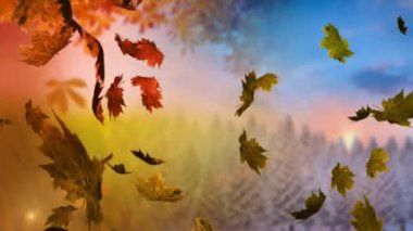 Yaprak simgelerinin köknar ağaçlarının üzerinde canlandırılması. Doğa ve dijital arayüz kavramı dijital olarak oluşturulmuş video.