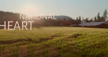 Ulusal Kalp Günü metninin manzara üzerindeki animasyonu. Ocak ayı ve kutlama konsepti dijital olarak oluşturulmuş video.