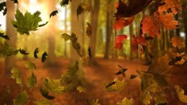 Yaprak ikonlarının orman ve ışık yolları üzerindeki animasyonu. Doğa ve dijital arayüz kavramı dijital olarak oluşturulmuş video.