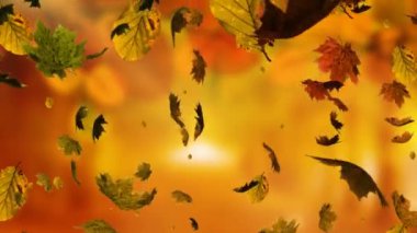 Bulanık arkaplan üzerindeki yaprak simgelerinin canlandırılması. Doğa ve dijital arayüz kavramı dijital olarak oluşturulmuş video.