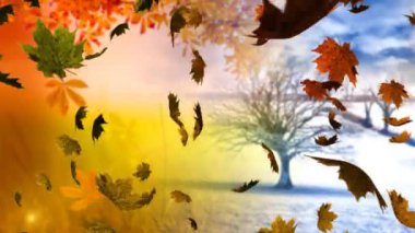 Sonbahar ve kış ağaçlarında yaprak ikonlarının canlandırılması. Doğa ve dijital arayüz kavramı dijital olarak oluşturulmuş video.