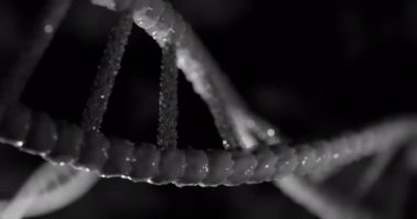 Siyah arka plandaki DNA iplikçiklerinin animasyonu. küresel bilim, DNA ve dijital arayüz kavramı dijital olarak oluşturulmuş video.