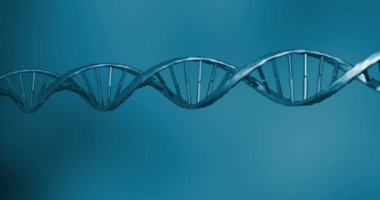 Mavi arka planda DNA ipliği animasyonu. küresel bilim, DNA ve dijital arayüz kavramı dijital olarak oluşturulmuş video.