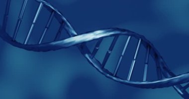Mavi arka planda DNA ipliği animasyonu. küresel bilim, DNA ve dijital arayüz kavramı dijital olarak oluşturulmuş video.
