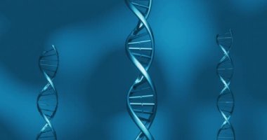 Mavi arka plandaki DNA iplikçiklerinin animasyonu. küresel bilim, DNA ve dijital arayüz kavramı dijital olarak oluşturulmuş video.