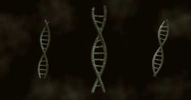 Siyah arka plandaki DNA iplikçiklerinin animasyonu. küresel bilim, DNA ve dijital arayüz kavramı dijital olarak oluşturulmuş video.