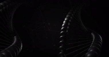 Siyah arkaplandaki bağlantı ağının üzerindeki DNA iplikçiklerinin animasyonu. küresel bilim, DNA ve dijital arayüz kavramı dijital olarak oluşturulmuş video.