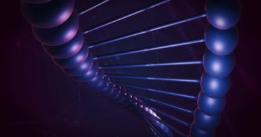 Mor arkaplandaki bağlantı ağının üzerindeki DNA iplikçiklerinin animasyonu. küresel bilim, DNA ve dijital arayüz kavramı dijital olarak oluşturulmuş video.