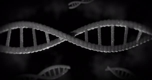 Animering Dna Strängar Svart Bakgrund Globalt Koncept För Vetenskap Dna — Stockvideo