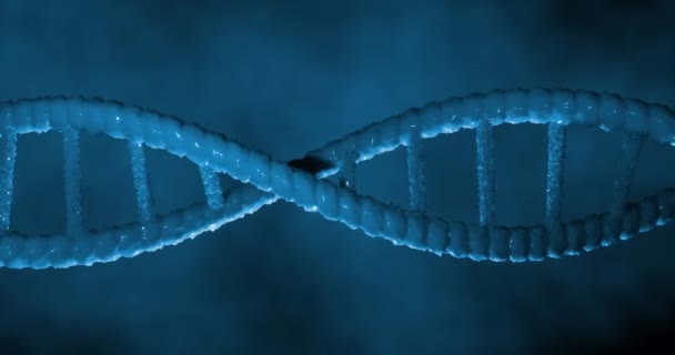 Анімація Нитки Dna Синьому Фоні Глобальна Наука Dna Концепція Цифрового — стокове відео