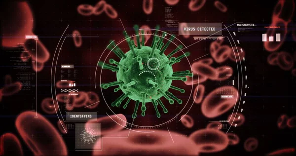 디지털로 바이러스 세포와 적혈구 클로즈업 — 스톡 사진