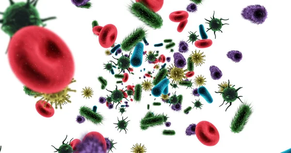 デジタル生成ウイルスの細胞 赤血球と白い背景に対して細菌のクローズ アップ — ストック写真