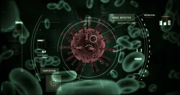 디지털로 바이러스 세포와 적혈구 클로즈업 — 스톡 사진
