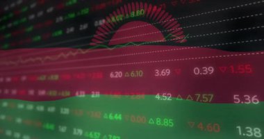 Malawi bayrağı üzerinde veri işleme animasyonu. Dünyanın bayrakları ve dijital arayüz konsepti dijital olarak oluşturulmuş video.