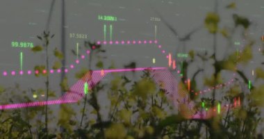 Rüzgar türbinleri üzerinde veri işleme animasyonu. küresel iş ve dijital arayüz kavramı dijital olarak oluşturulmuş video.