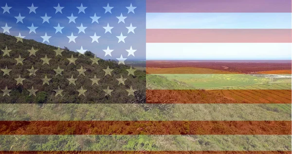 Цифровой Композитный Лес Полями Видом Фоне Цифрового Американского Флага — стоковое фото