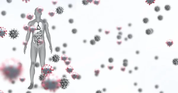 Imagen Células Virus Que Caen Sobre Modelo Del Cuerpo Humano —  Fotos de Stock