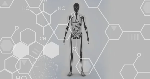 Imagen Fórmulas Químicas Sobre Modelo Del Cuerpo Humano Concepto Investigación —  Fotos de Stock