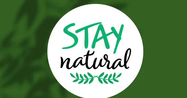 Bild Vistelse Naturlig Text Grön Bakgrund Miljö Och Återvinningskoncept Digitalt — Stockfoto